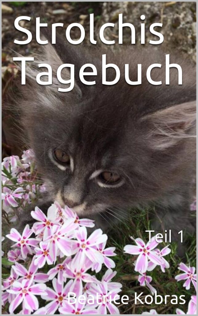 Strolchis Tagebuch - lustige Katzengeschichten
