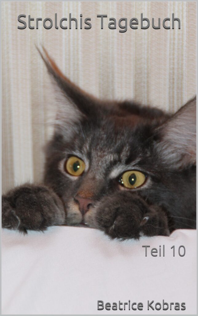 Strolchis Tagebuch - lustige Katzengeschichten
