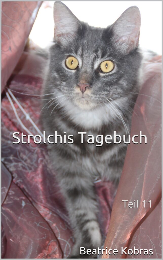 Strolchis Tagebuch - lustige Katzengeschichten