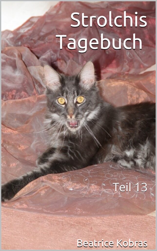 Strolchis Tagebuch - lustige Katzengeschichten