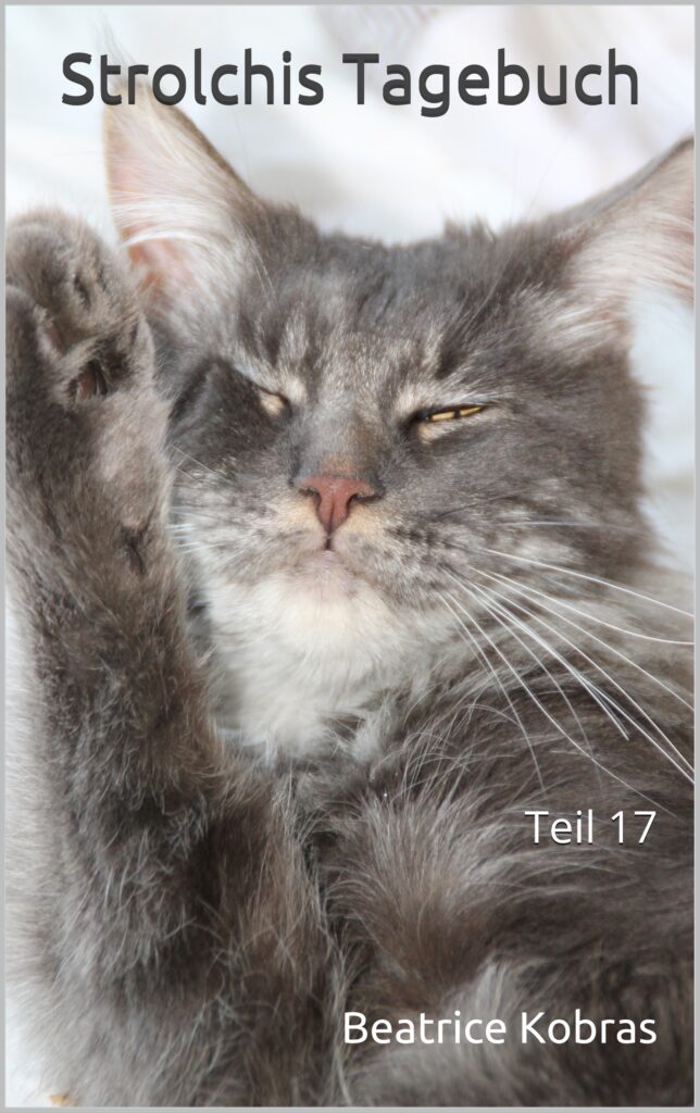 lustige Katzengeschichten - Strolchis Tagebuch