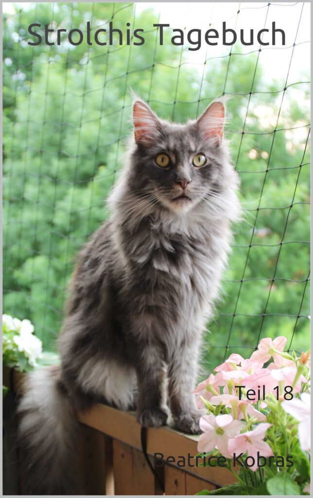 lustige Katzengeschichten - Strolchis Tagebuch