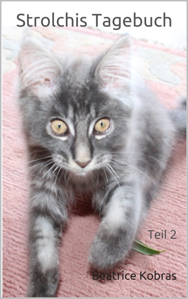 Strolchis Tagebuch - lustige Katzengeschichten