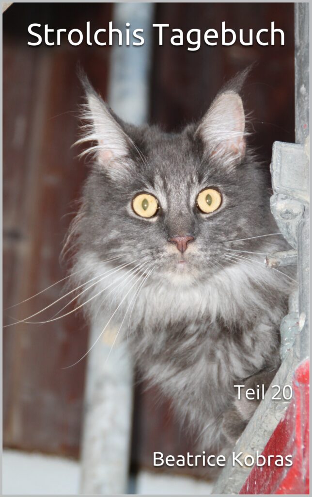 lustige Katzengeschichten - Strolchis Tagebuch