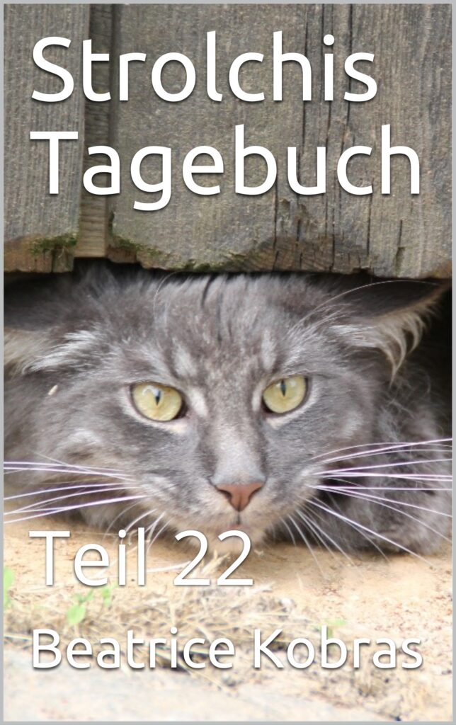 lustige Katzengeschichten - Strolchis Tagebuch