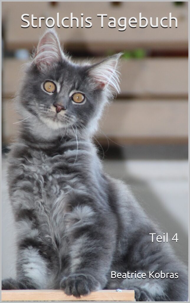 Strolchis Tagebuch - lustige Katzengeschichten