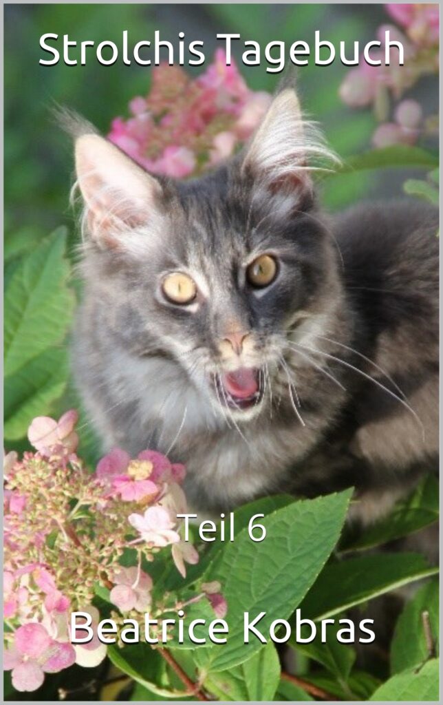 Strolchis Tagebuch - lustige Katzengeschichten