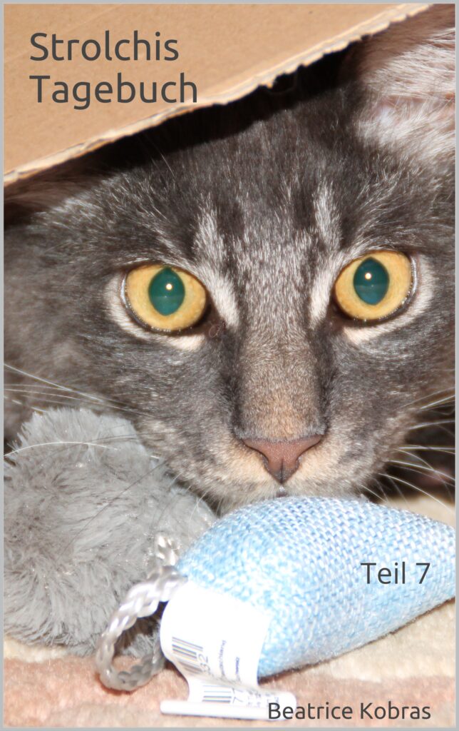Strolchis Tagebuch - lustige Katzengeschichten