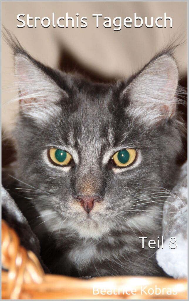 Strolchis Tagebuch - lustige Katzengeschichten