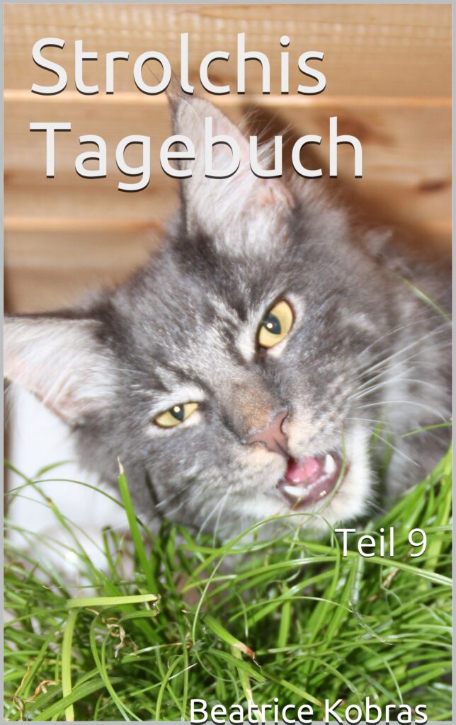 Strolchis Tagebuch - lustige Katzengeschichten