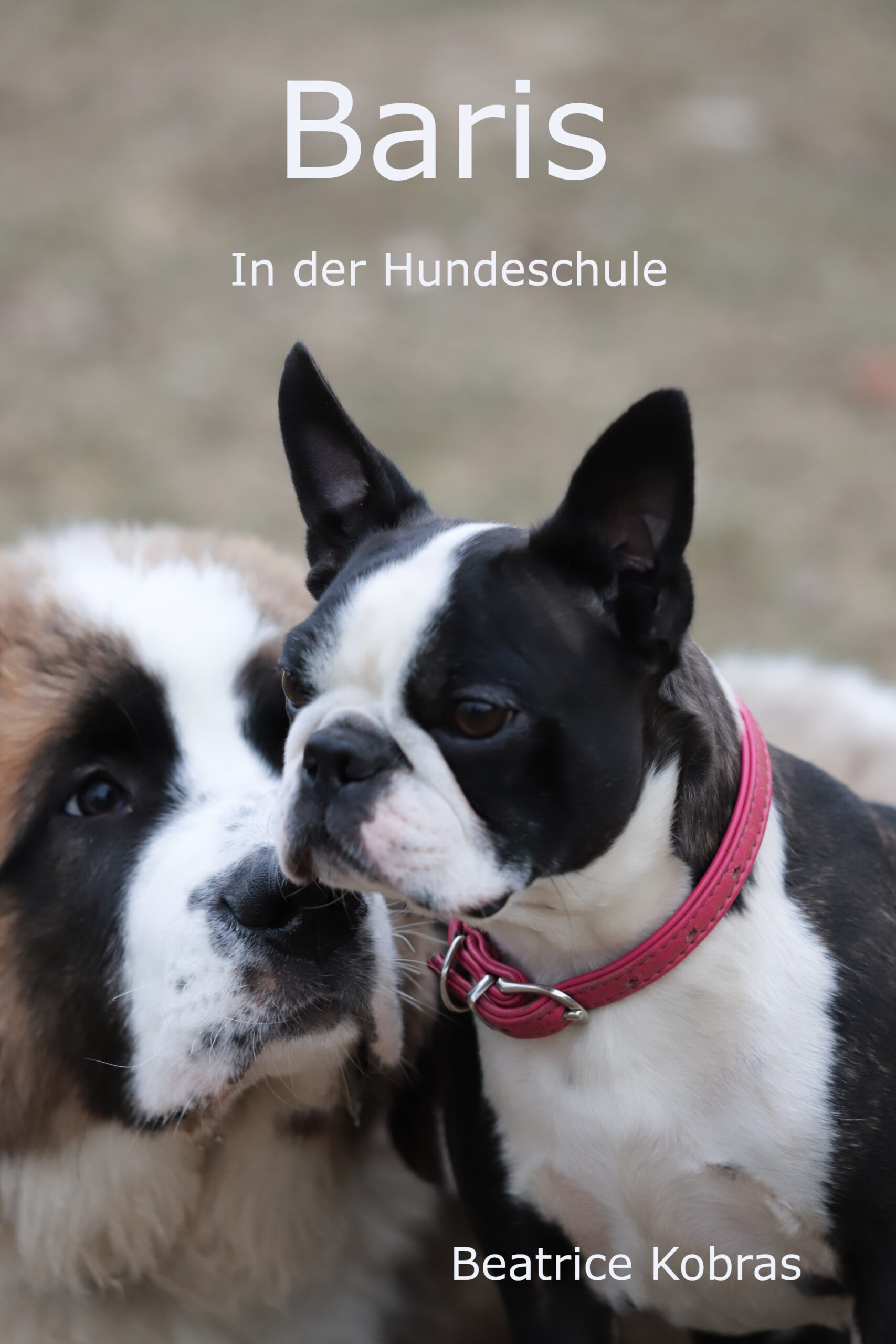 Hunderoman - neue Freunde