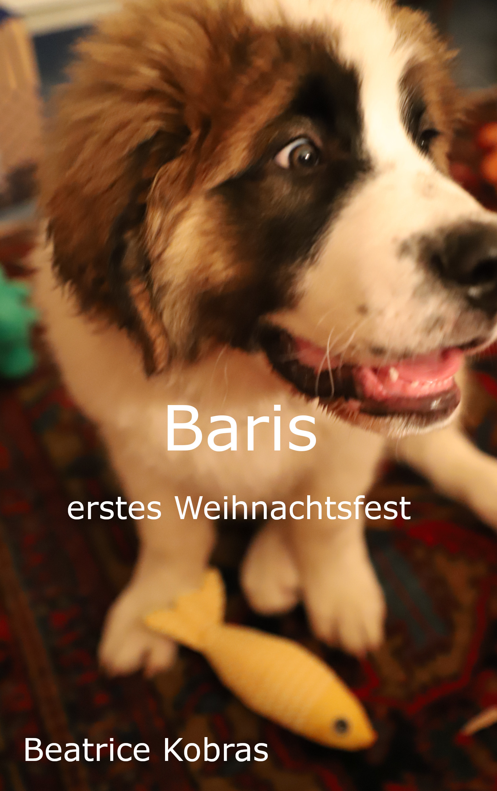 Hunderoman und Weihnachtsroman - das erste Weihnachtsfest von Baris