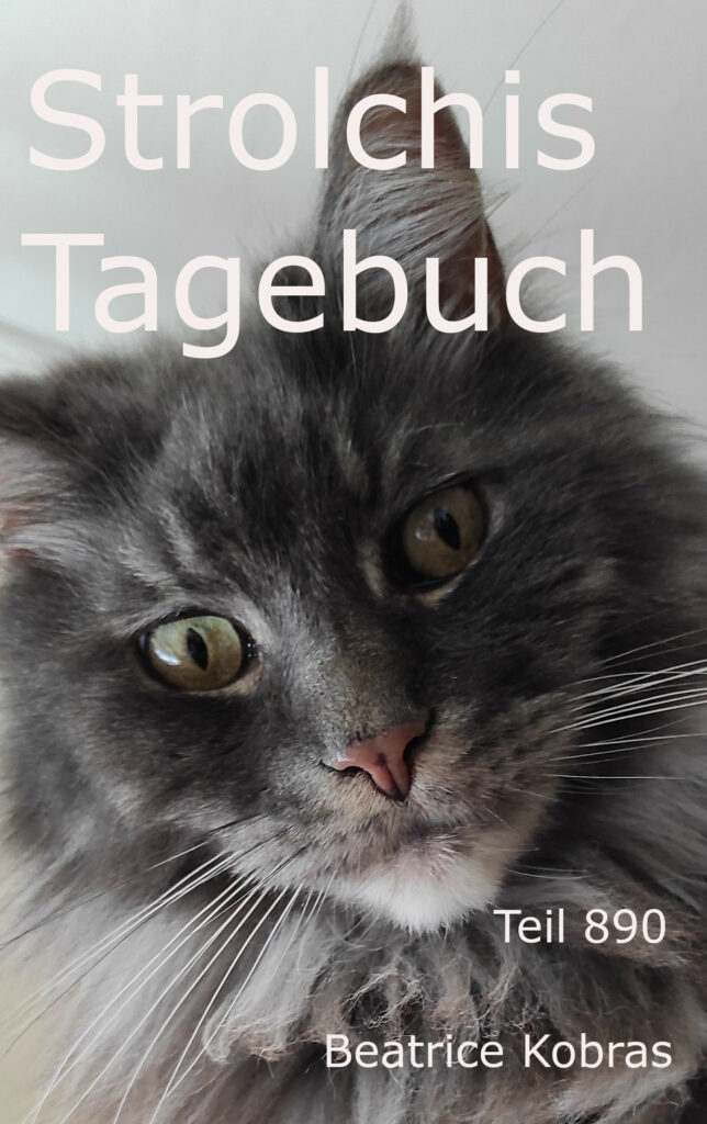 Katzenbuchserie - der freche Strolchi
