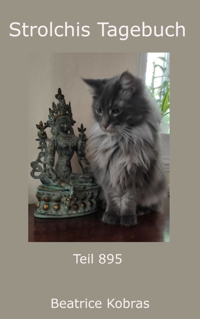 Katzenbuchserie Strolchis Tagebuch