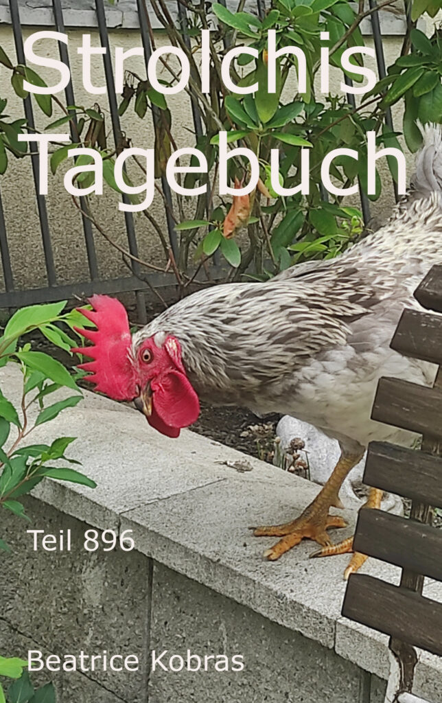 Buch über Hühner auch in Strolchis Tagebuch