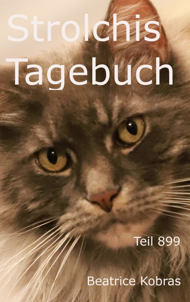 freche Katzengeschichten