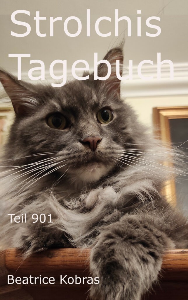 Strolchis Tagebuch - Strolchi der freche Kater