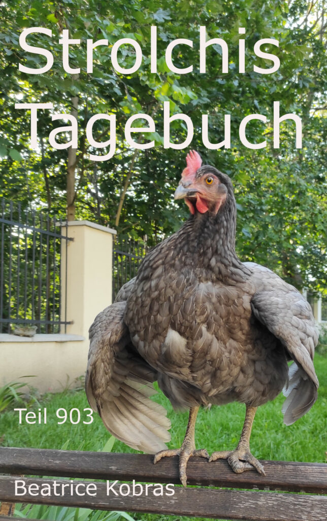 Hühnerbuch und lustige Hühner in Strolchis Tagebuch