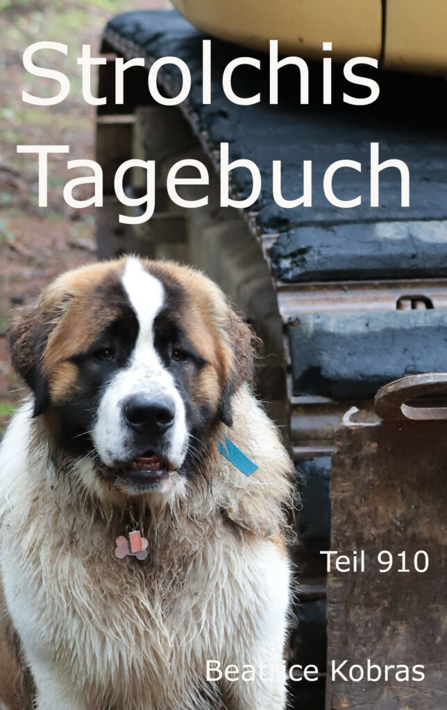 Hundeabenteuer in Strolchis Tagebuch