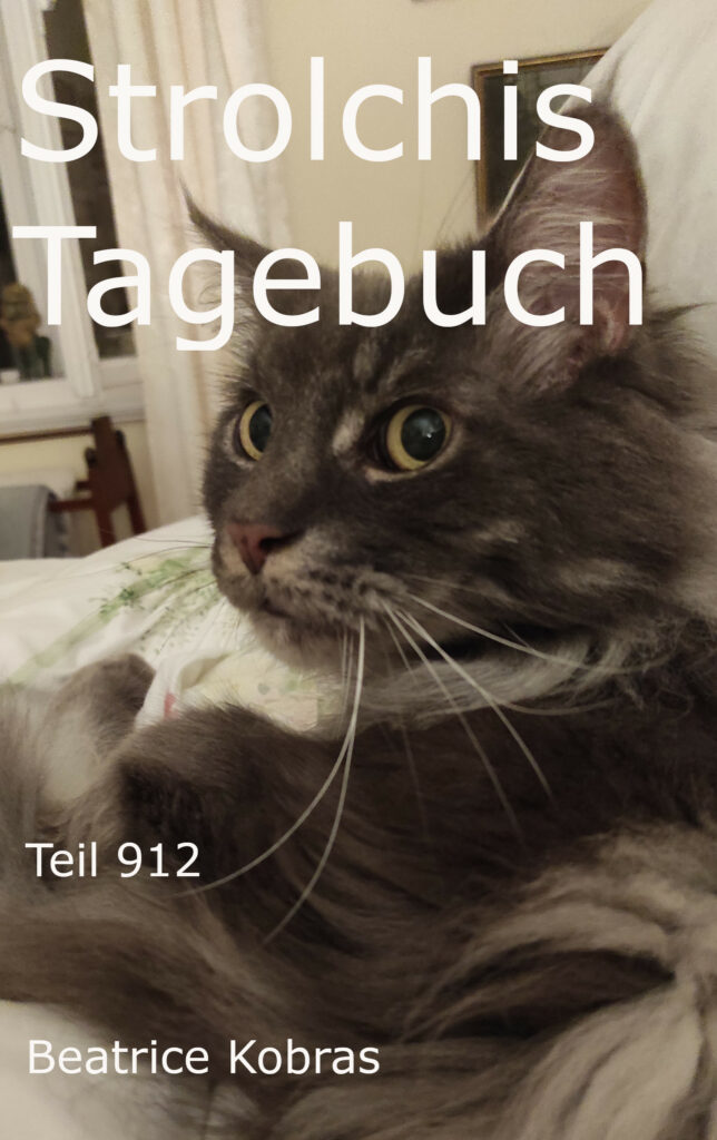 Katzenbuchserie Strolchis Tagebuch