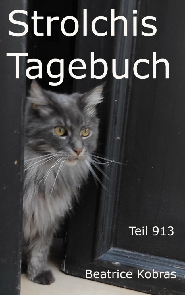 Katzenroman Strolchis Tagebuch