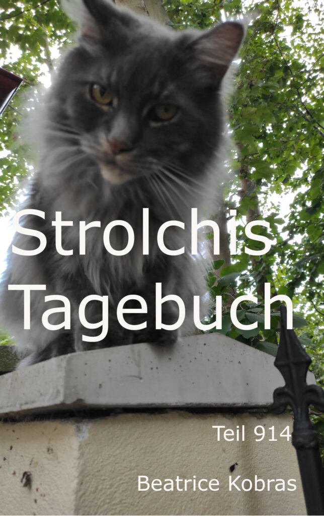 Strolchis Abenteuer in Strolchis Tagebuch