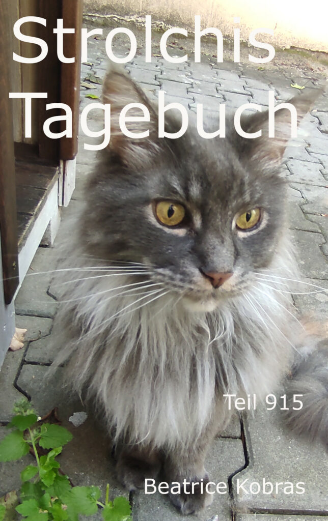 Katzenbuch - Strolchis Abenteuer