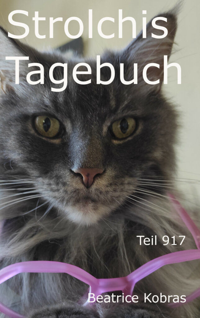 Strolchis Tagebuch - Strolchi der Bestsellerautor