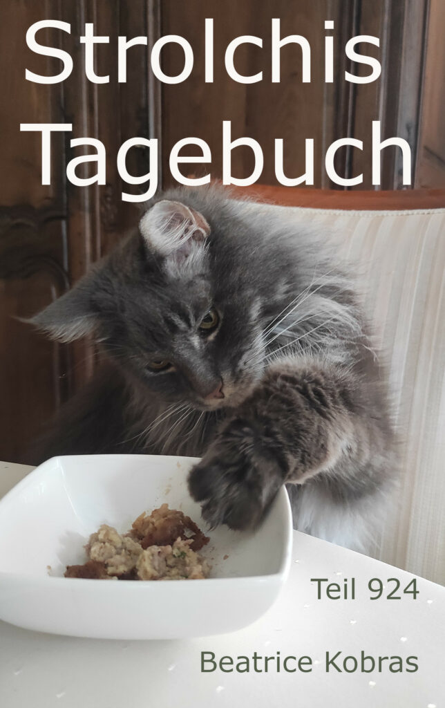 Katzenroman mit vielen Bildern - Strolchis Tagebuch