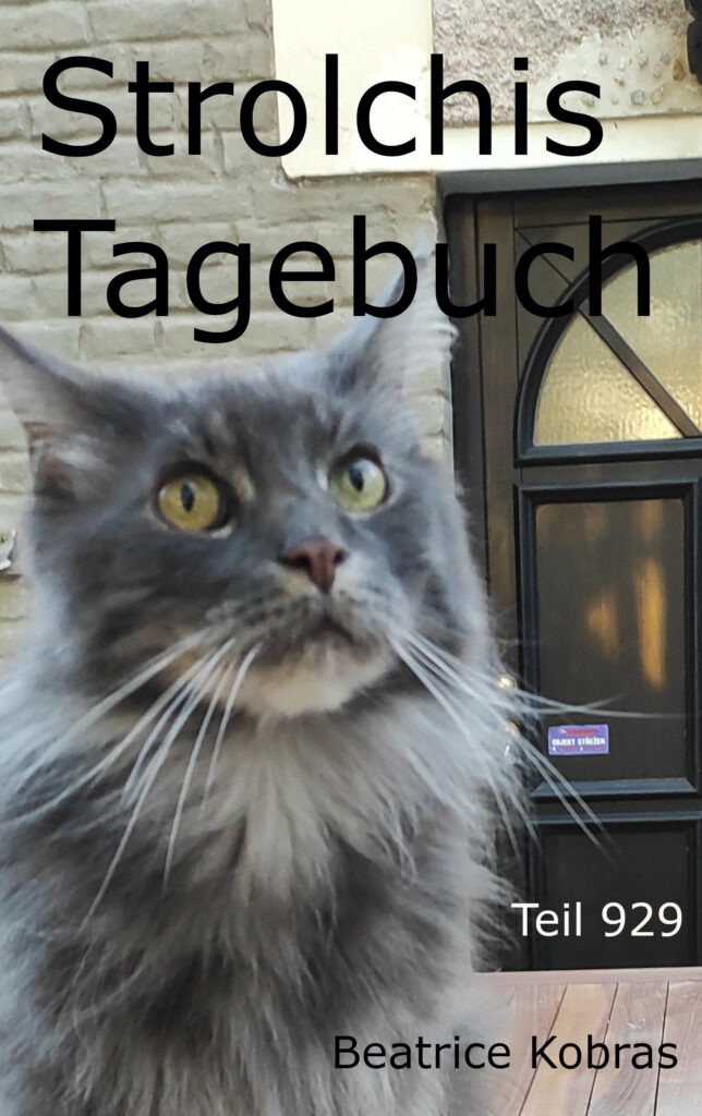 Katzenbuchserie - Strolchis Tagebuch