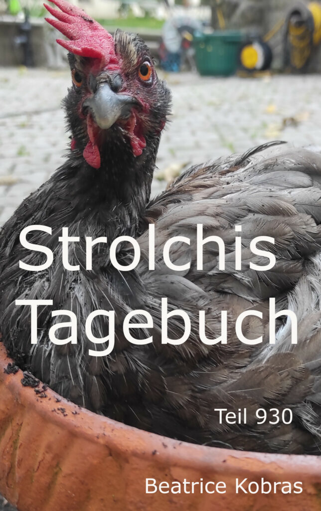 Hühnergeschichten in Strolchis Tagebuch