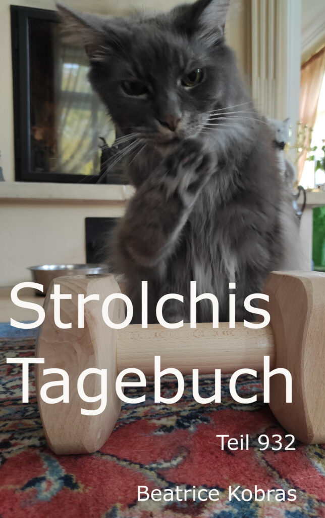 lustige Katzenbücher und Hundebücher