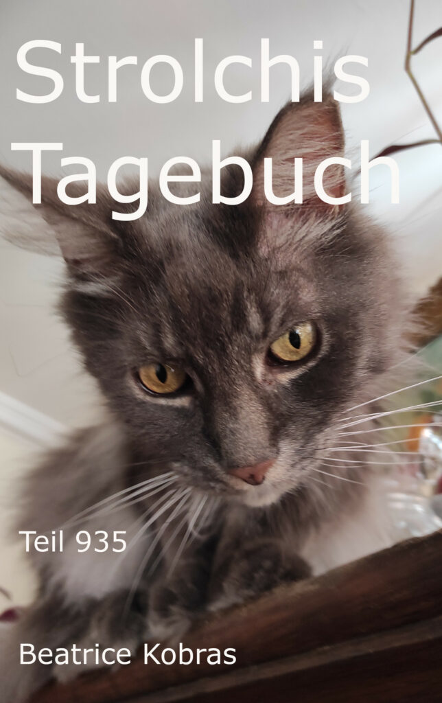 Katzenbuchserie - Strolchis Tagebuch