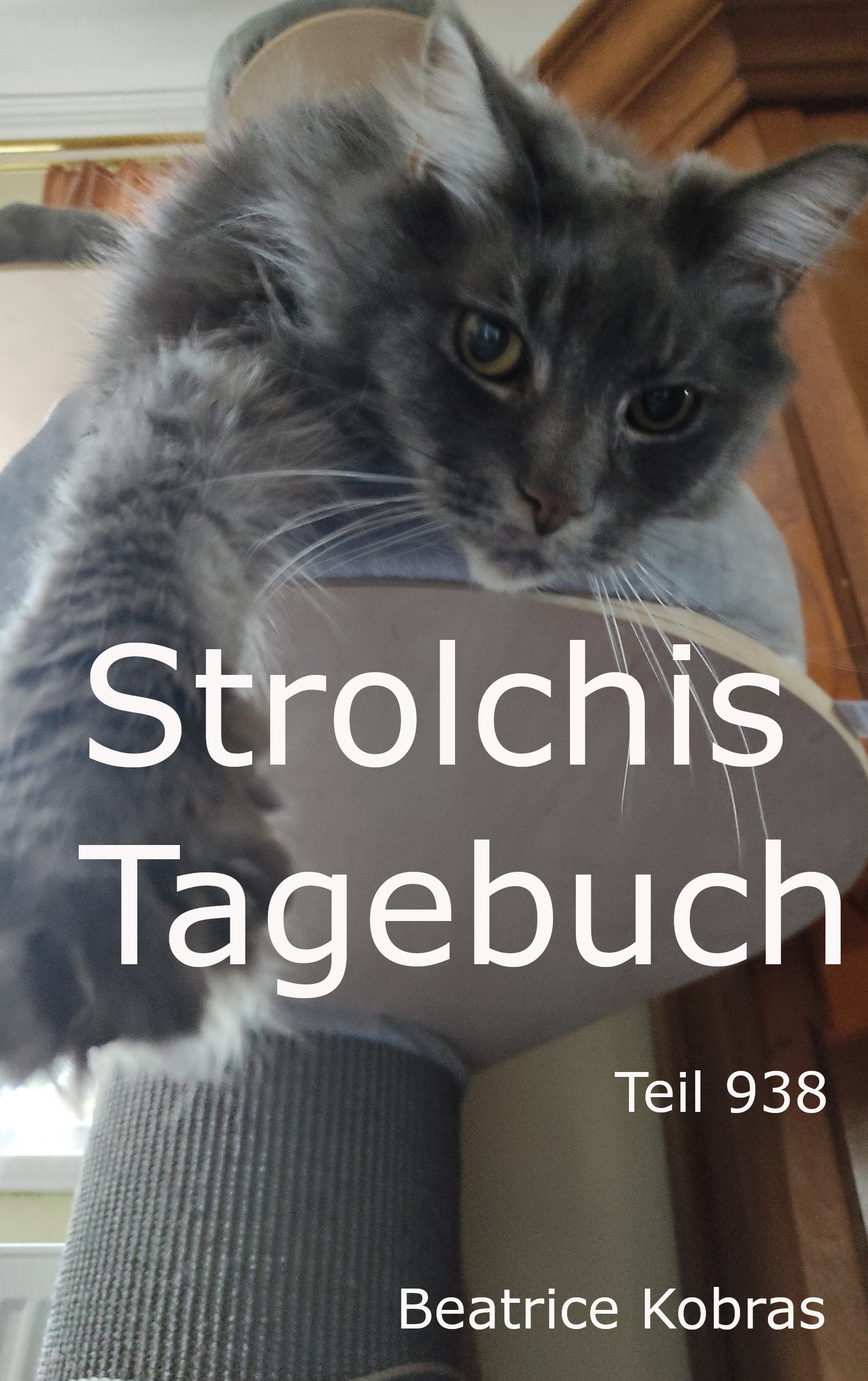 Das lustige Katzenbuch