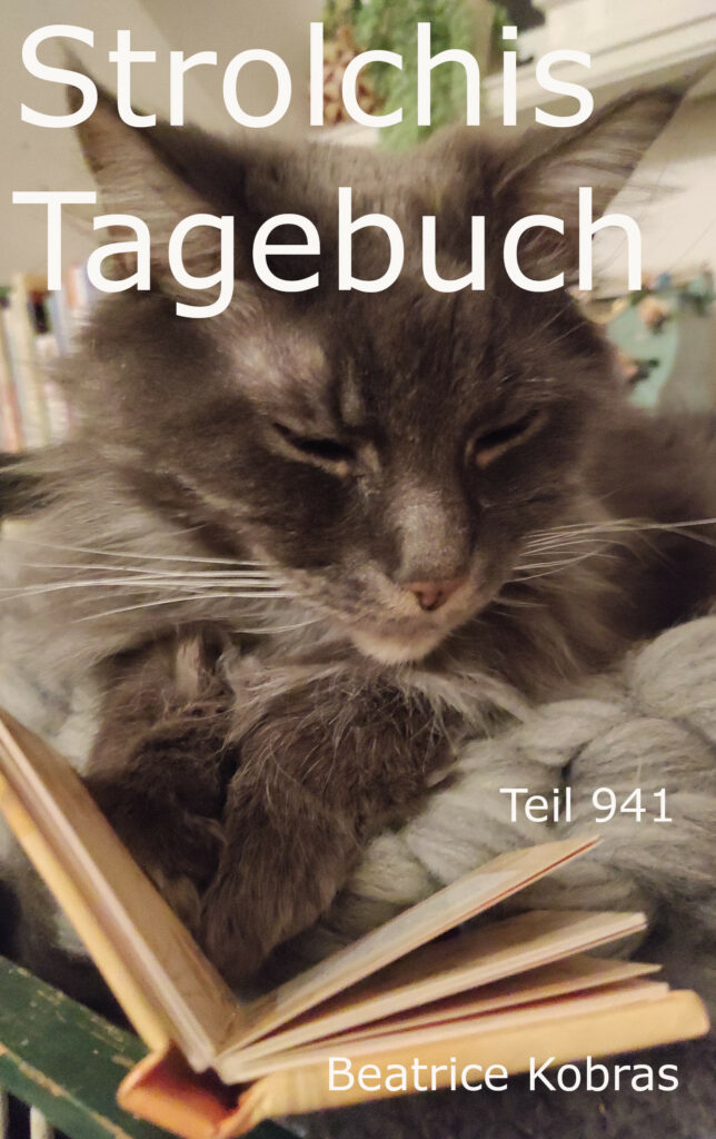 Strolchis Tagebuch - Geschichten einer Katze