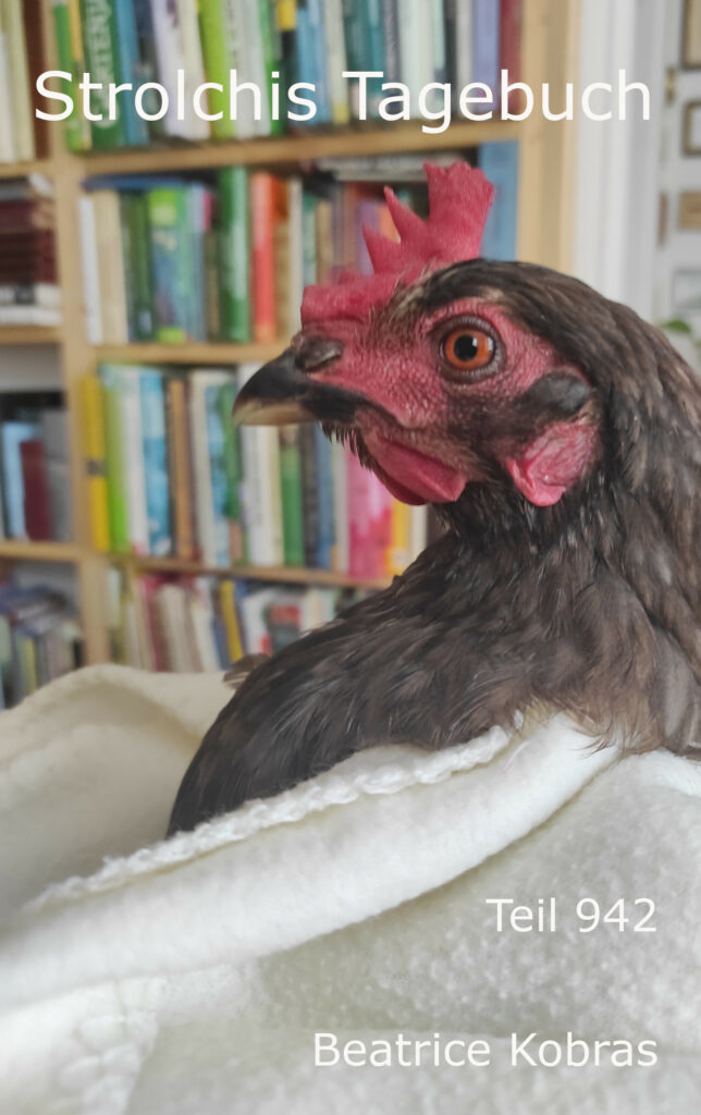 Hühnergeschichten in Strolchis Tagebuch