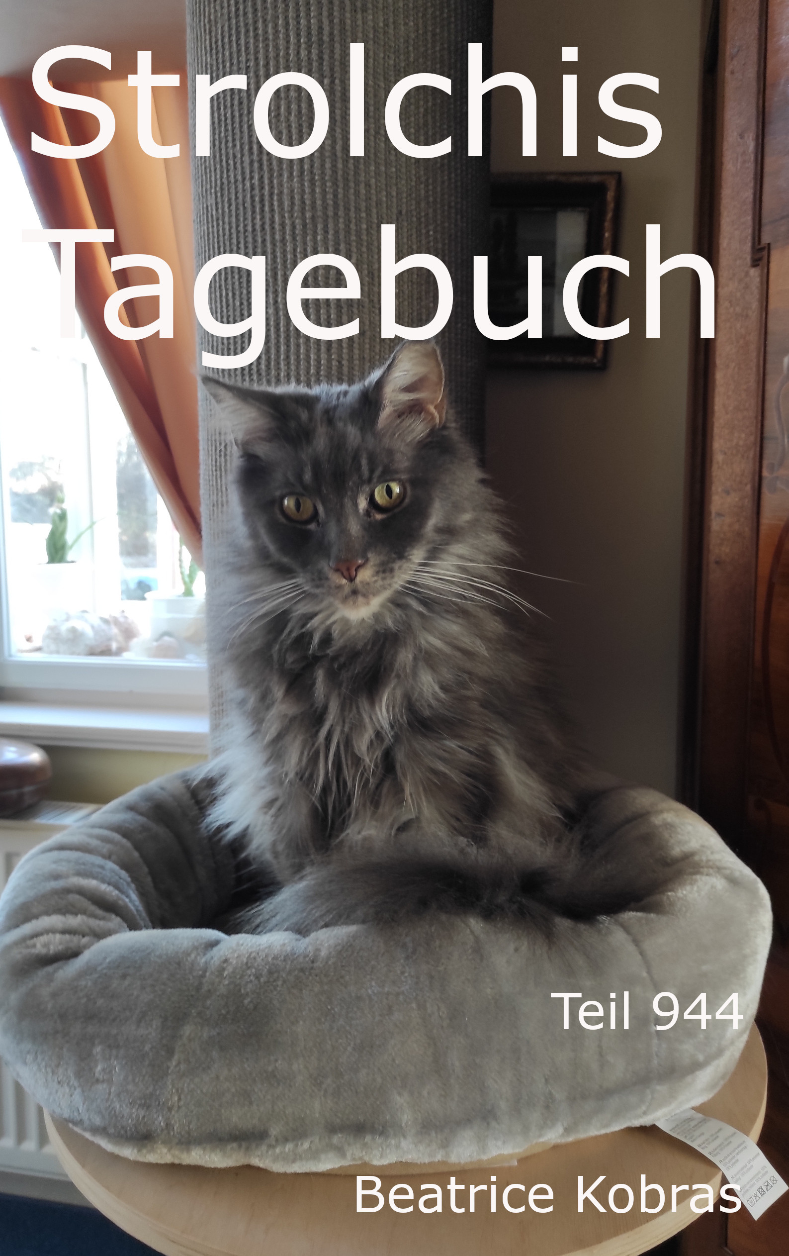 Katzenroman von und mit Strolchi