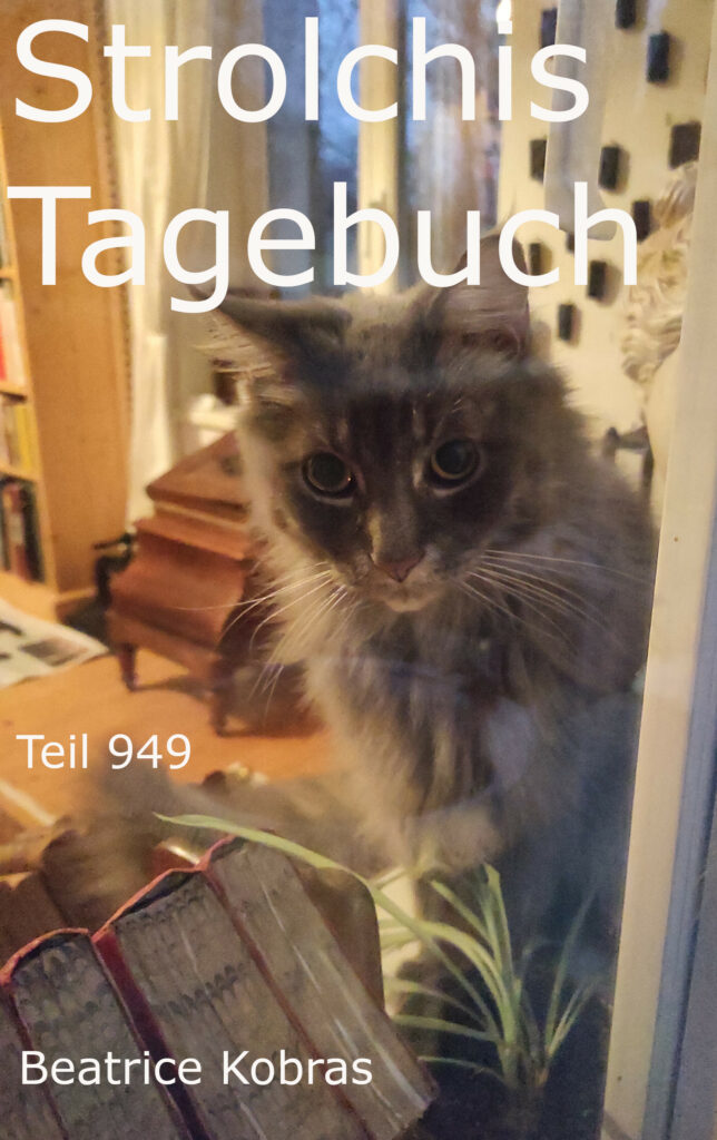 Strolchis Tagebuch - die beliebte Katzenbuchserie