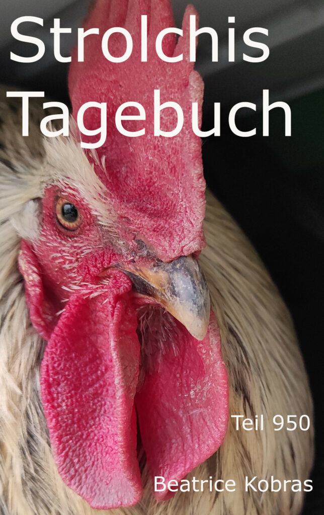 Hühnergeschichten mit Herz