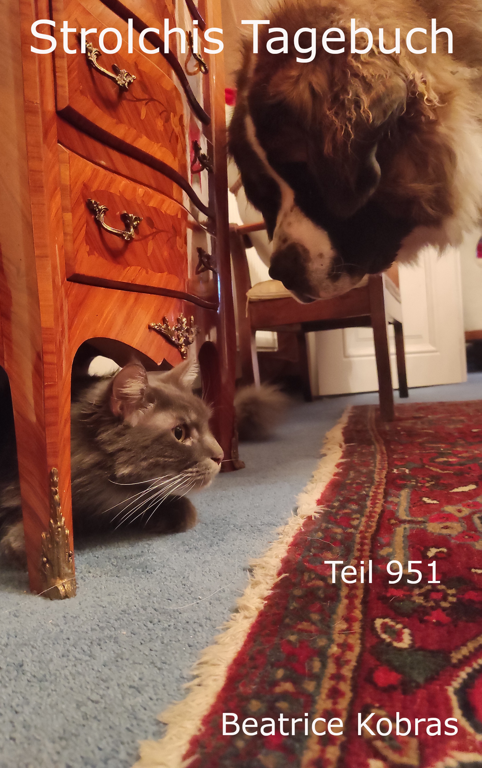 Tiergeschichten an Weihnachten mit lustigen Katzen und Hunden