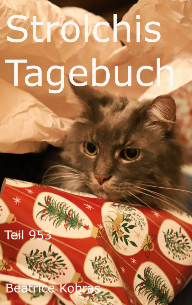 Katzenroman an Weihnachten