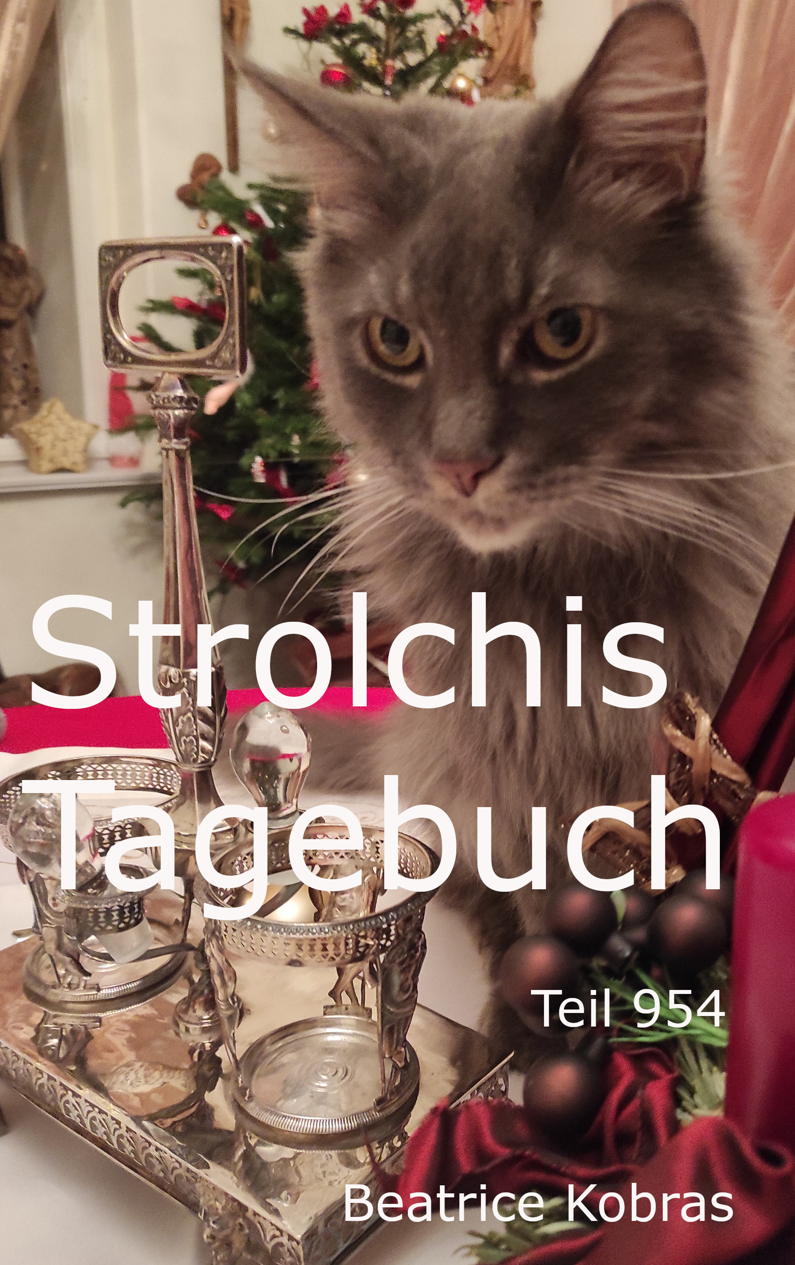 Weihnachtsgeschichte einer Katze