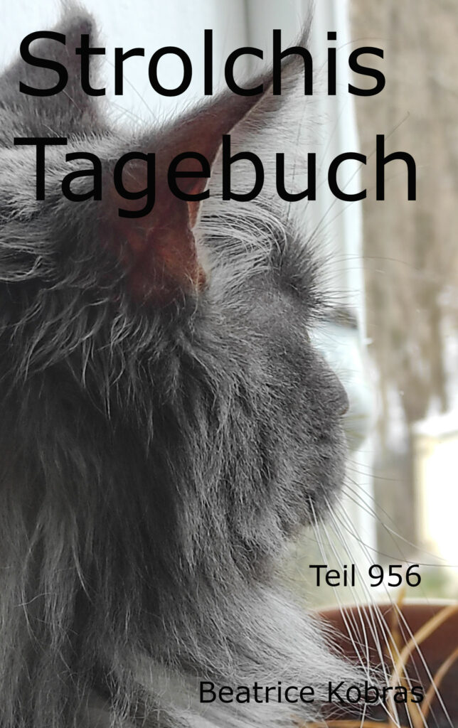 Strolchis Tagebuch - Katzenroman mit Herz