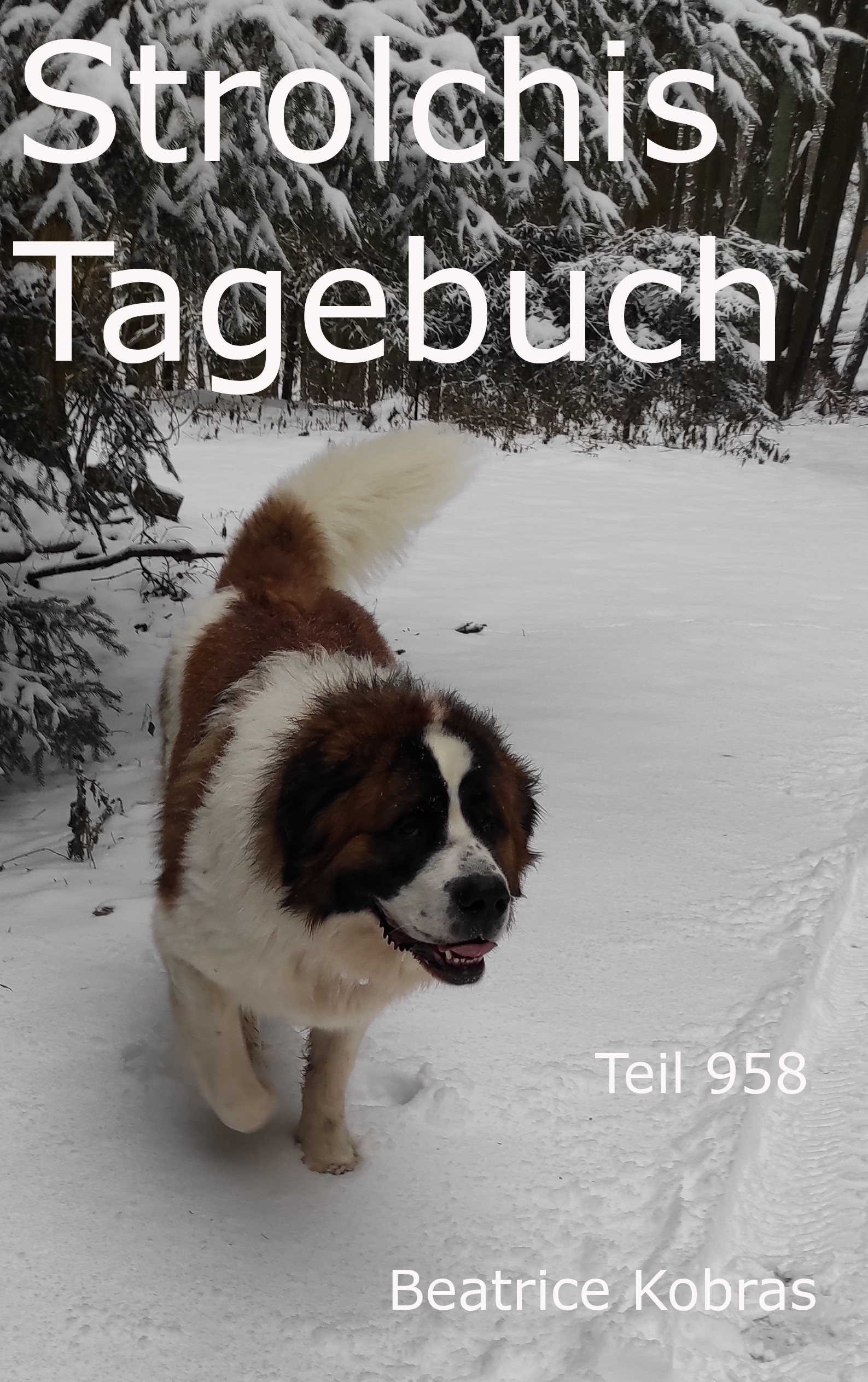 Abenteuer eines Hundes in Strolchis Tagebuch