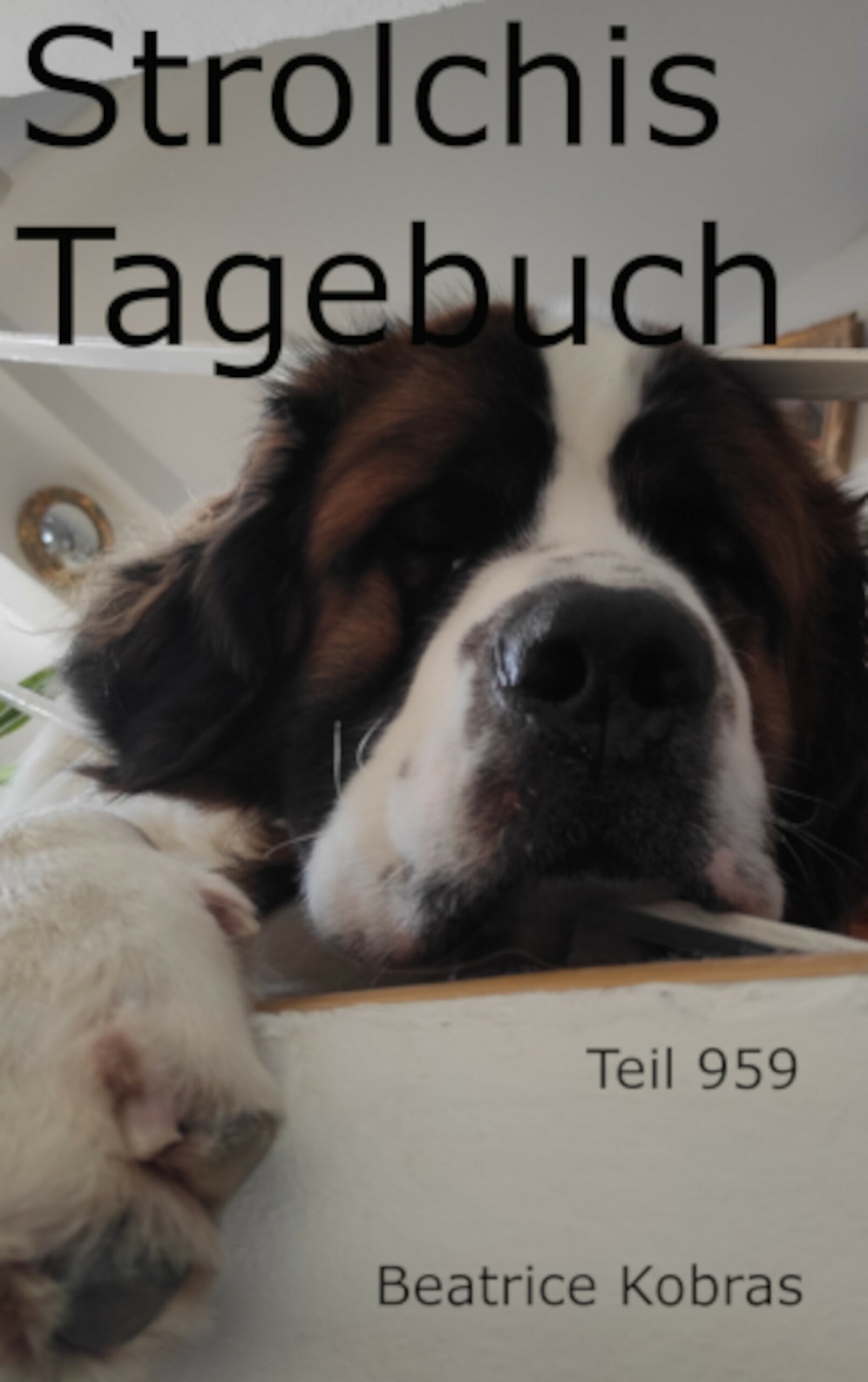 Hundegeschichten im Katzentagebuch