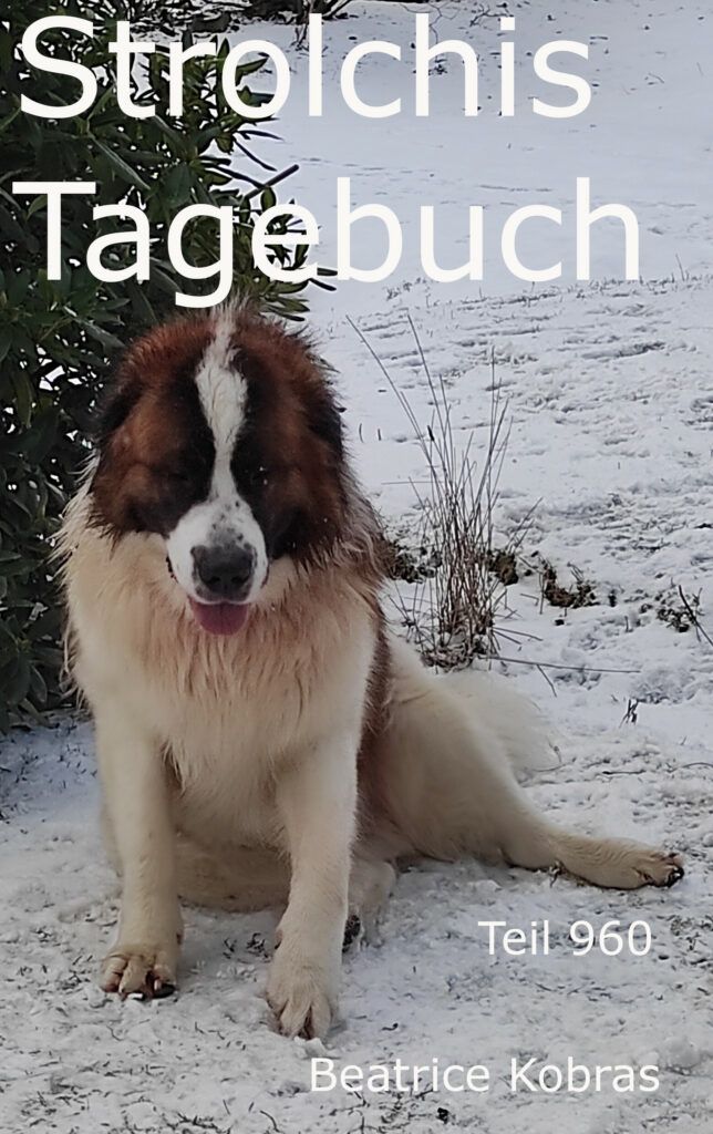 lustige Hunde in Strolchis Tagebuch