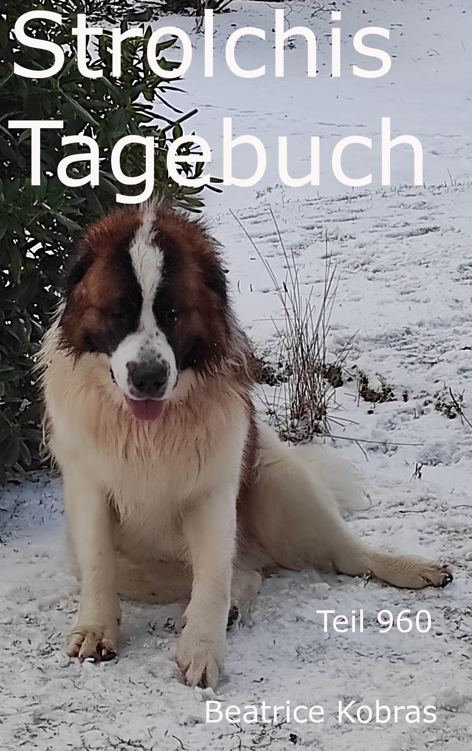 lustige Hunde in Strolchis Tagebuch