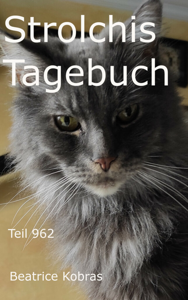 Strolchis Tagebuch - Geschichten eines frechen Katers