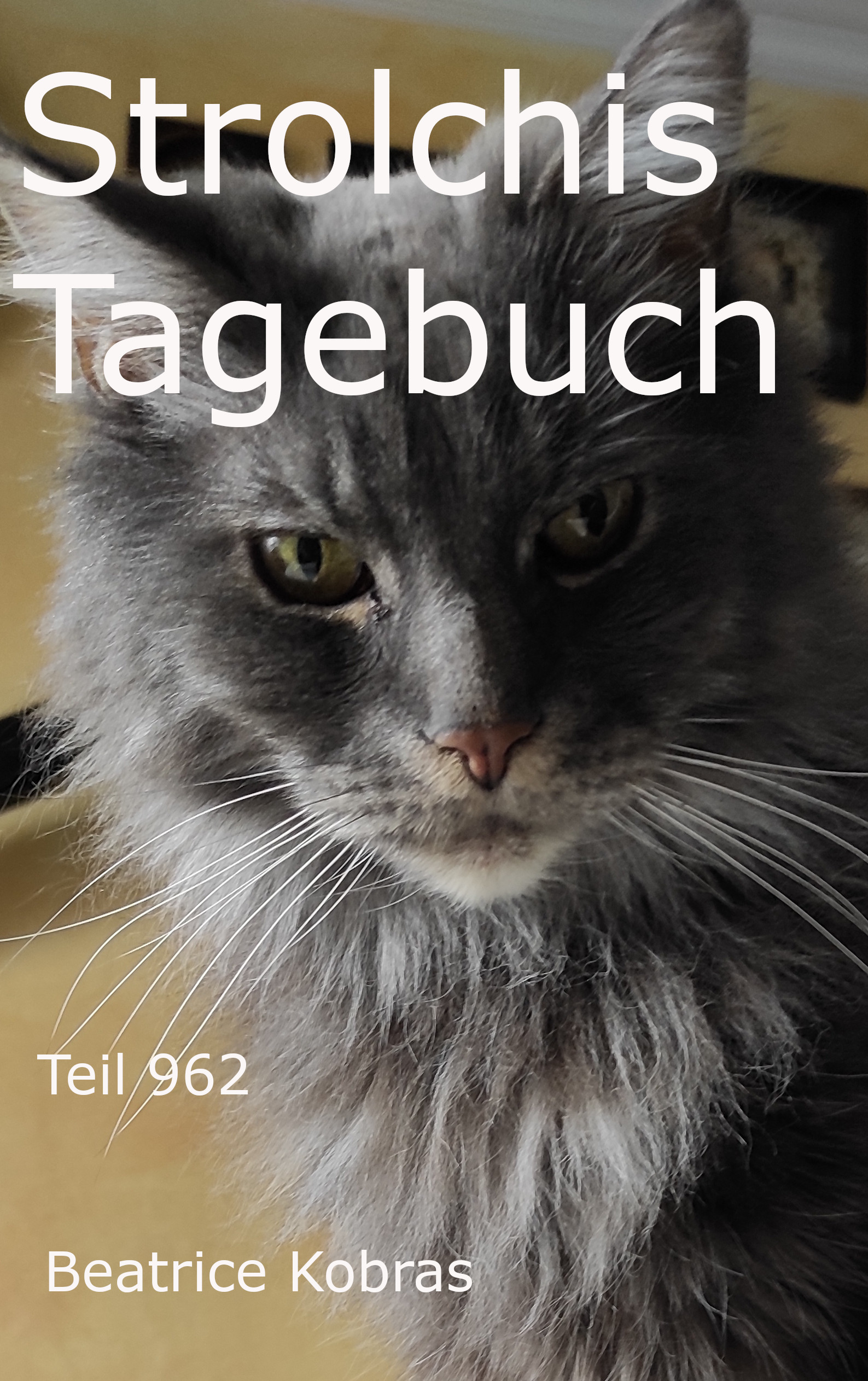 Strolchis Tagebuch - Geschichten eines frechen Katers