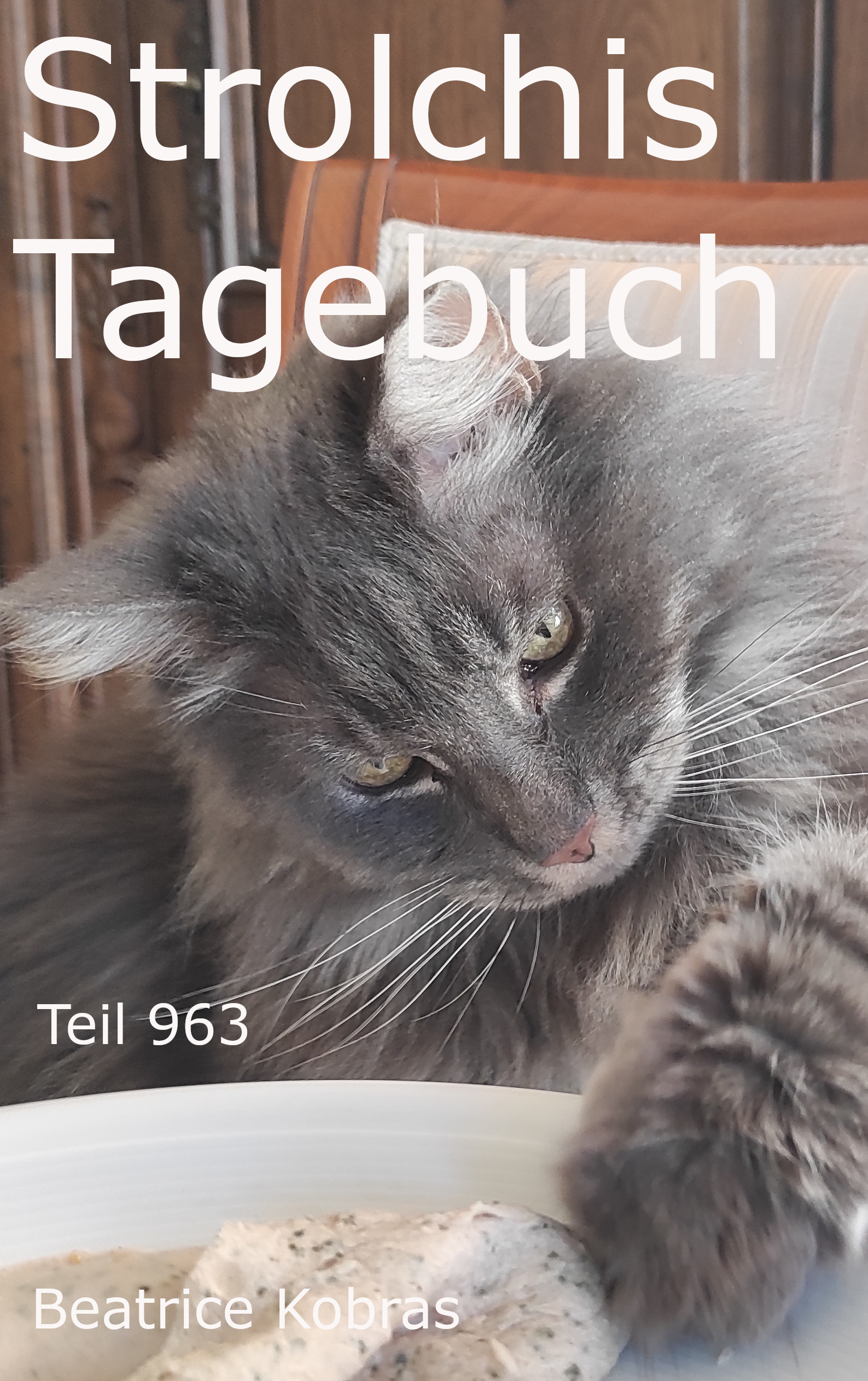 Strolchis Tagebuch - Katzengeschichten aus dem Alltag einer Katze